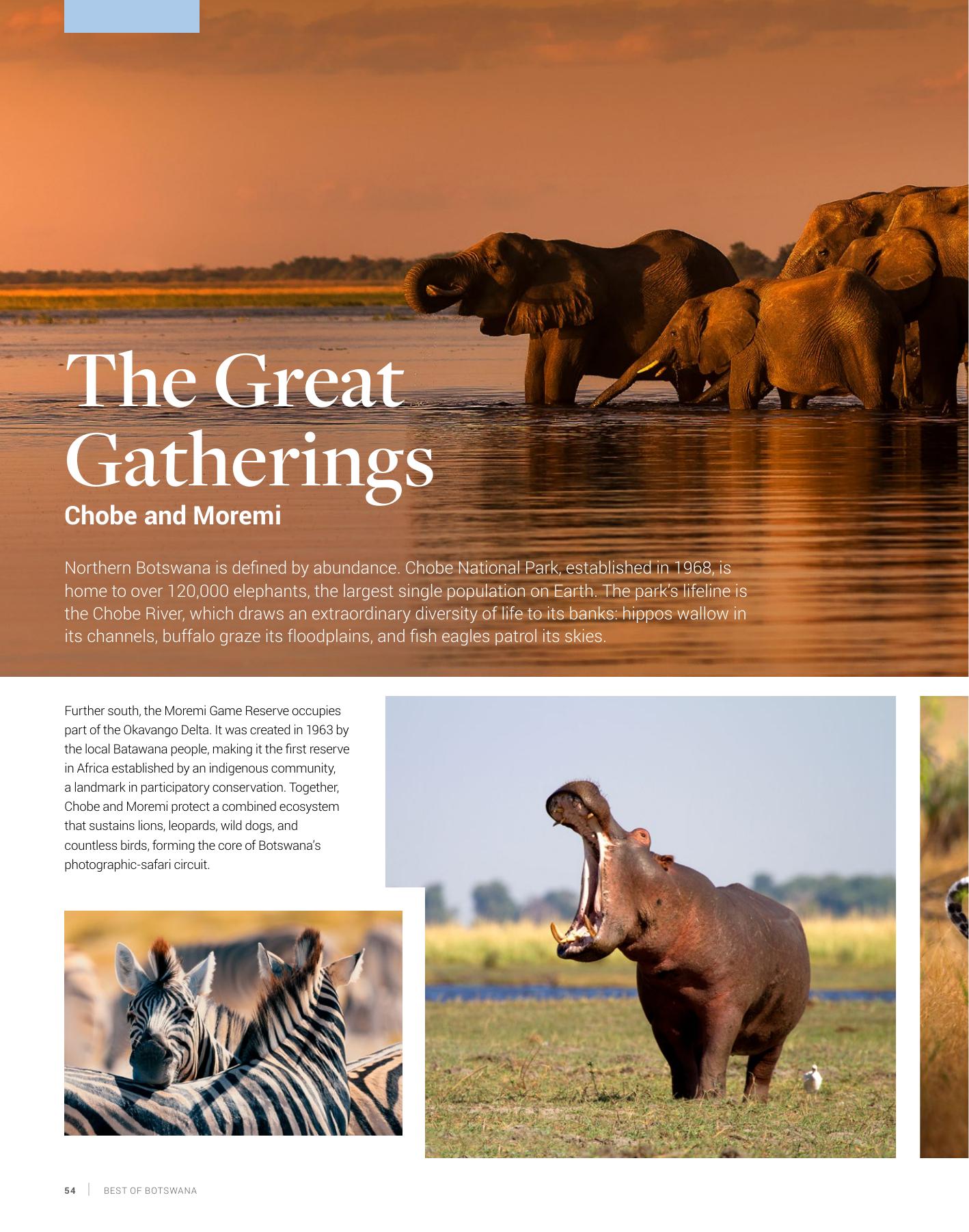 The Great Gatherings. Chobe and Moremi.